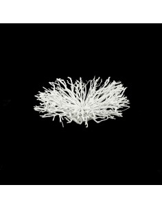 Addobbo wedding... 2